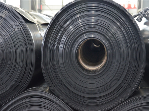 ��������Ĥ