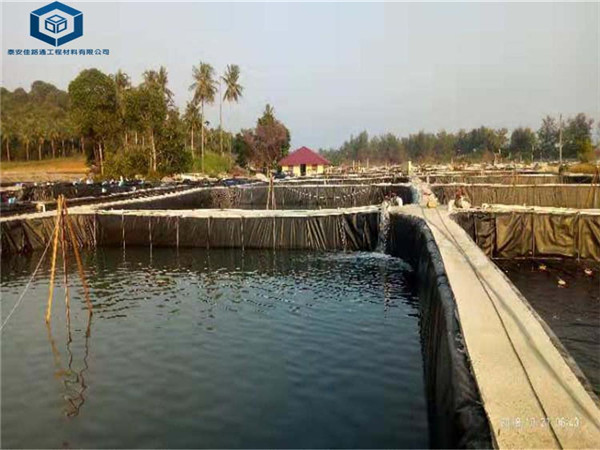 �B(y��ng)ֳ���BĤ�����~(y��)�r�B(y��ng)ֳ��(ch��ng)