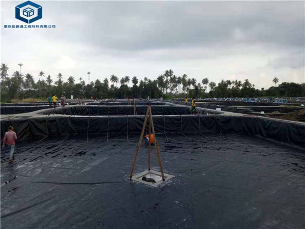 �B�VҺ������Ĥ