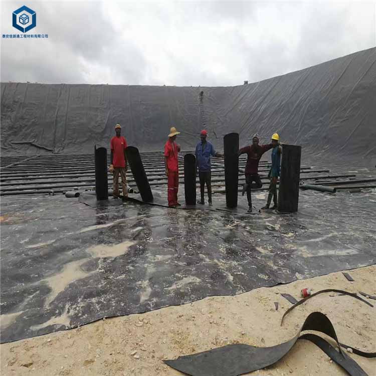 �������������Ĥʩ��