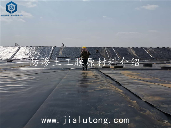防滲土工膜 防滲土工膜