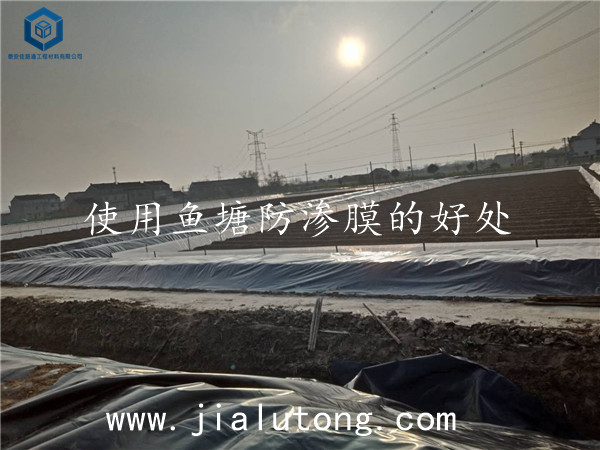 魚(yú)塘防滲膜 魚(yú)塘防滲膜
